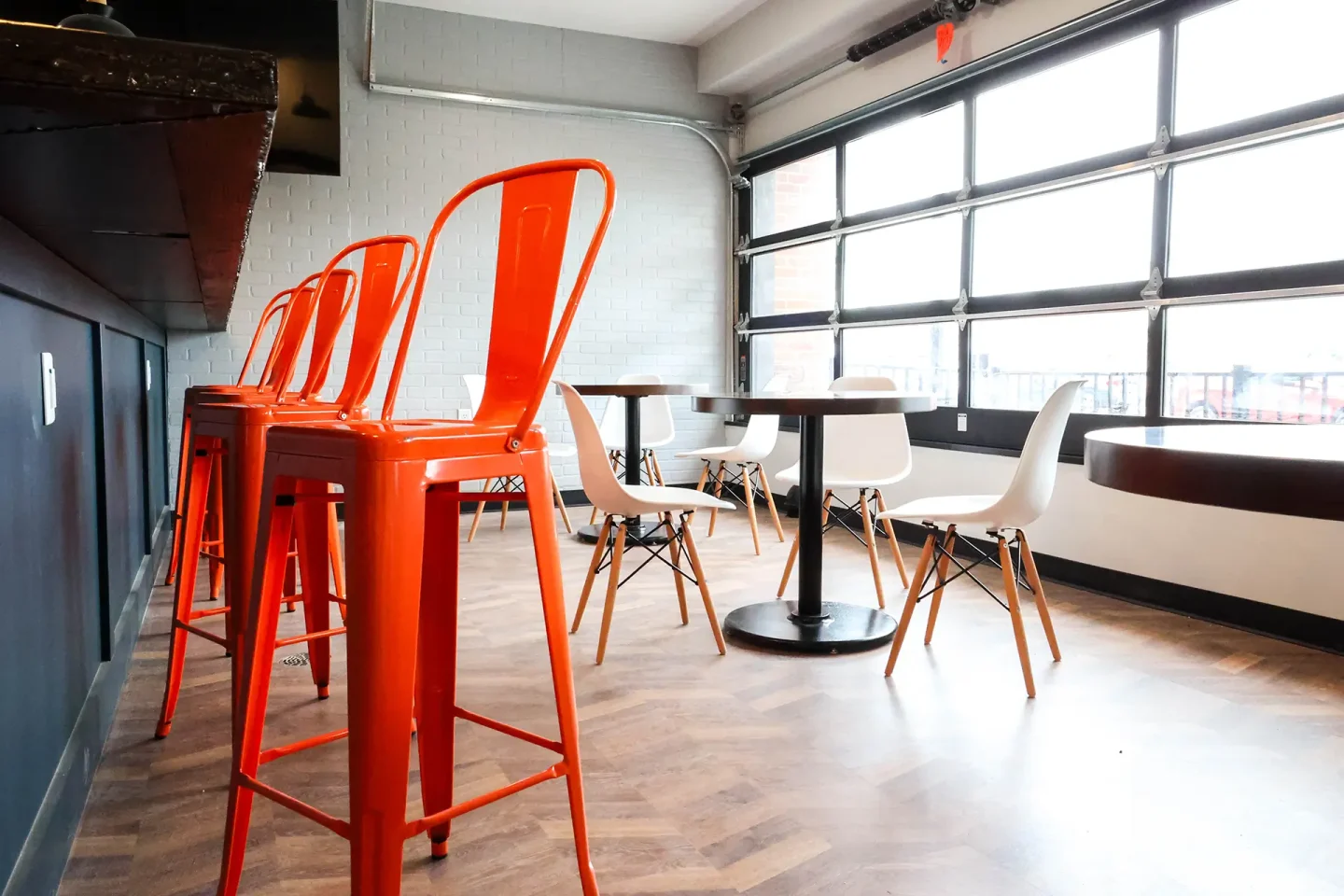 Midnight Owl Photos-3